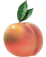 peach